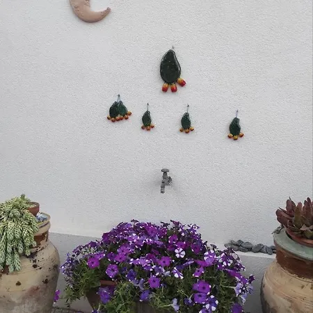 Kır Evi Guarda Che Luna Porto Empedocle