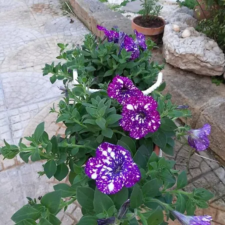 Landhaus Guarda Che Luna *