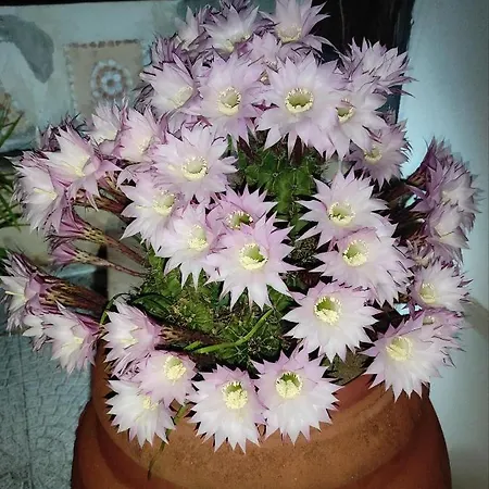 Guarda Che Luna * Porto Empedocle